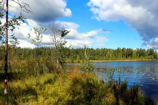 National Park Shhuchye Lake-Komarovo必去景点