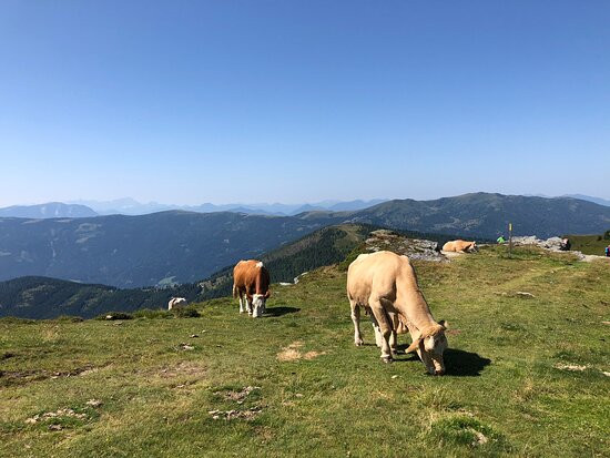 Landhotel Lindenhof主图