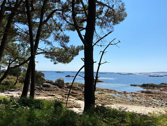 Playa Area de Secada景点图片