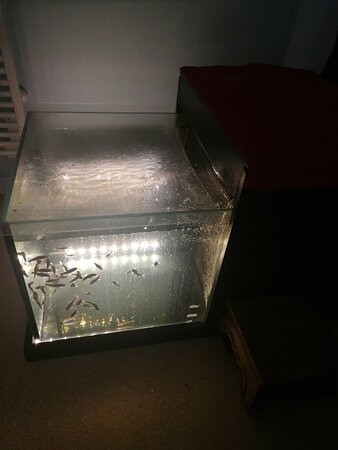 Ibidem Spa-Jaux必去景点