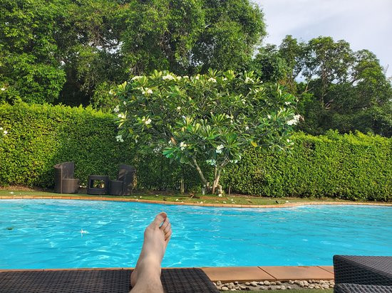 Check In and Chill Out主图