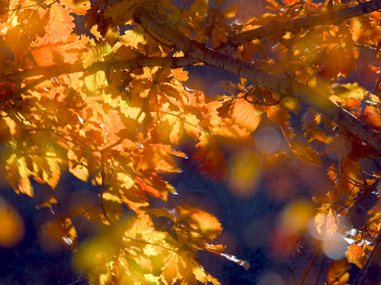 青龙满族自治县旅游攻略图片