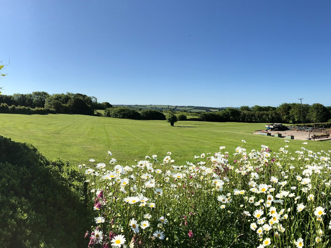 North Thorne Cottages And Glamping