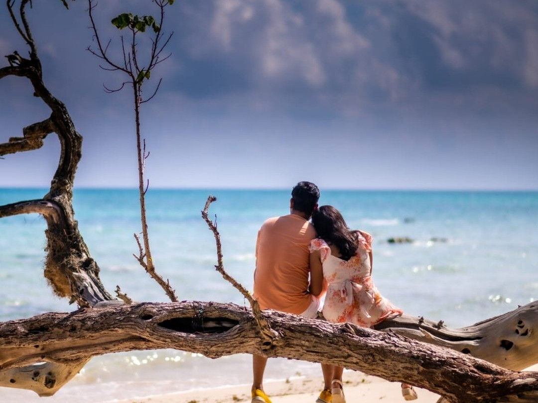 Shutter Boat Tours-布莱尔港必去景点