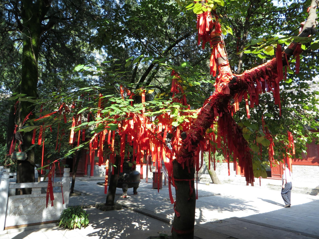 水陆庵景点图片
