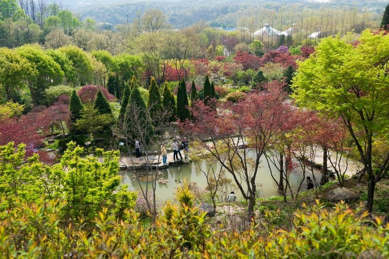 Hantaek Botanical Garden景点图片