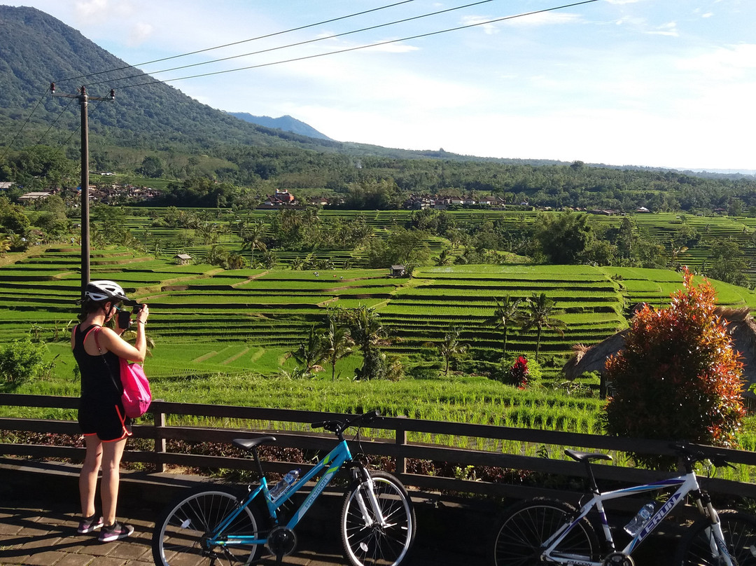Jatiluwih Cycling & E-bike Tours With Bali By Pedals-达巴南必去景点