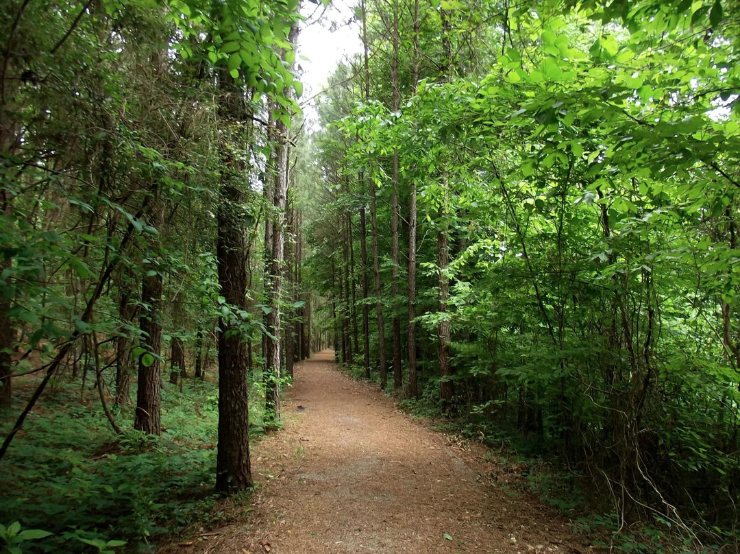 Piper Interpretive Trail景点图片