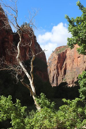 宰恩国家公园-锡安国家公园必去景点