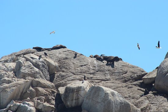 Mirador Cochoa-比尼亚德尔马必去景点