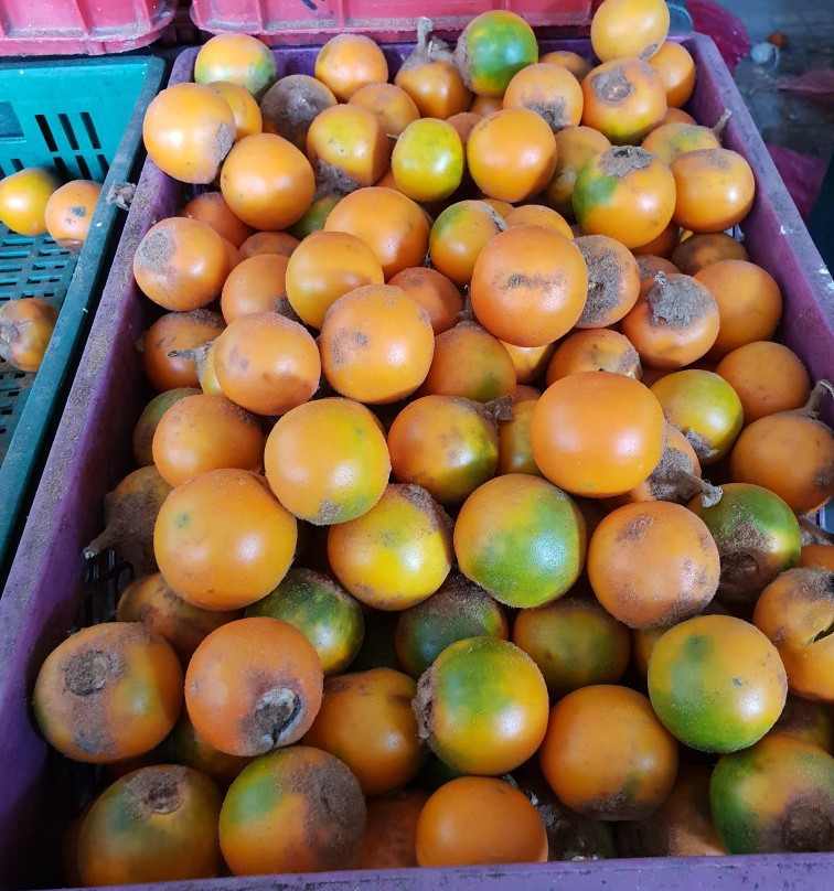 Plaza Principal de Girardot-Girardot必去景点