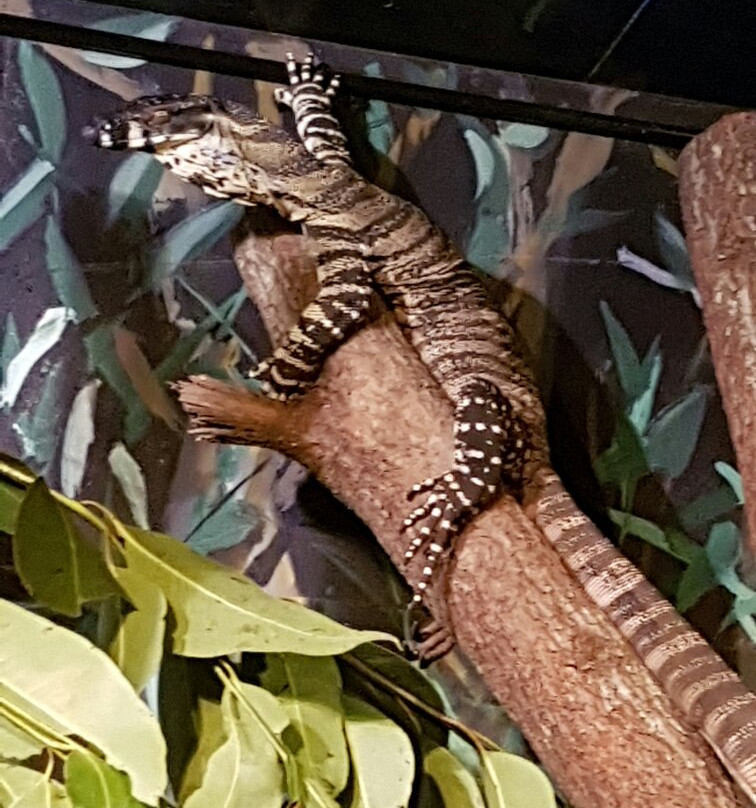 Palm Beach Farmers' Market