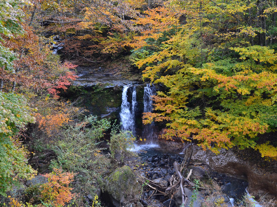 南佐久郡旅游攻略图片