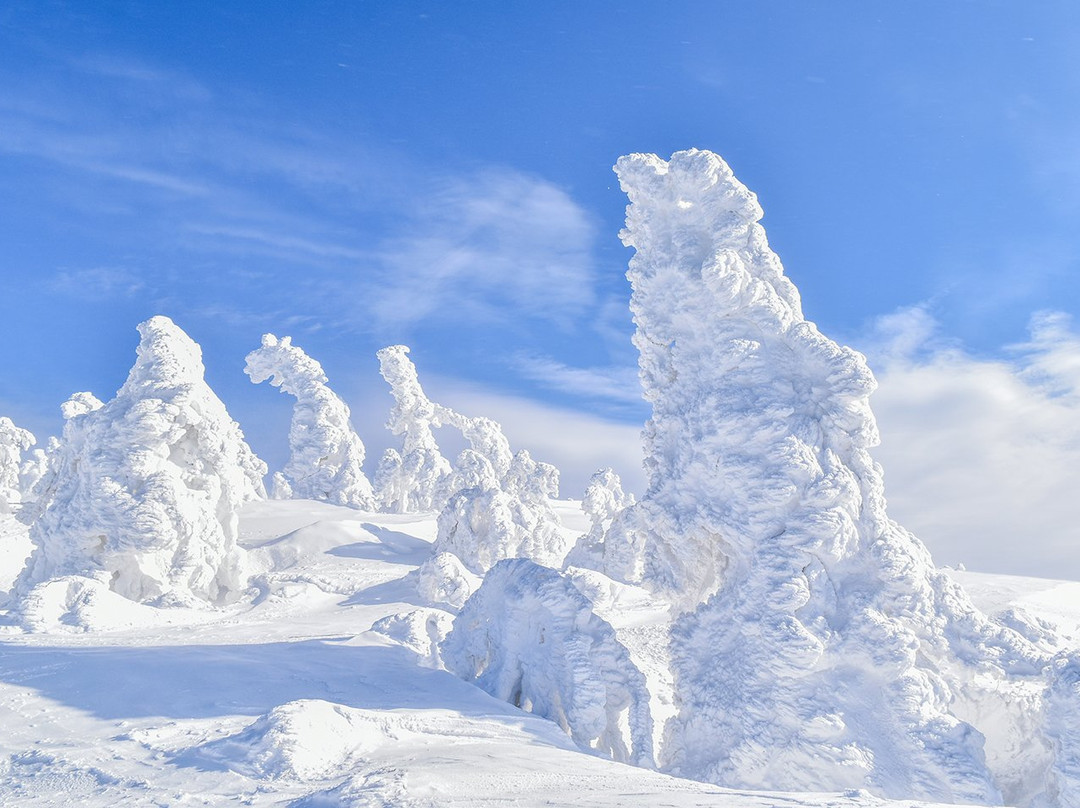 Mt.Moriyoshi ANI SKI RESORT景点图片