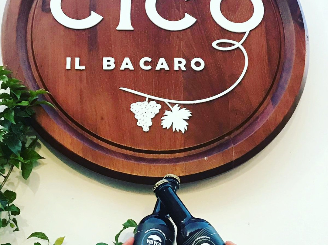 Cico il bacaro