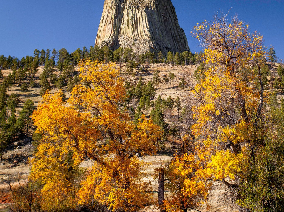 Devils Tower旅游攻略图片