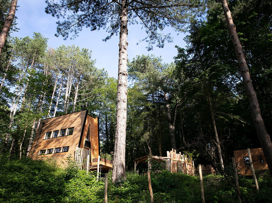 森林浴场舒适水疗小屋