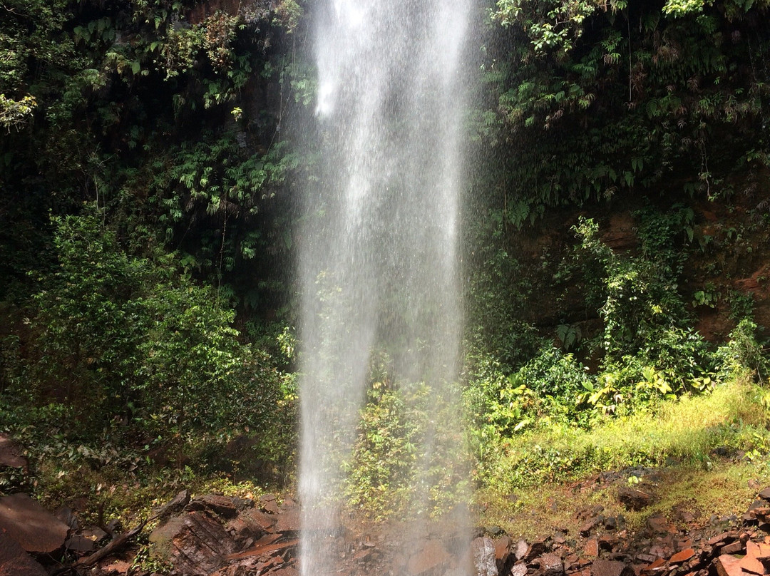 Cachoeira do Urubu Rei-Almas必去景点