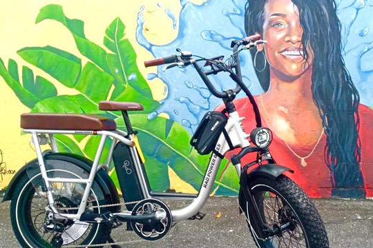 Captain Larry's Ebikes Tours & Rentals