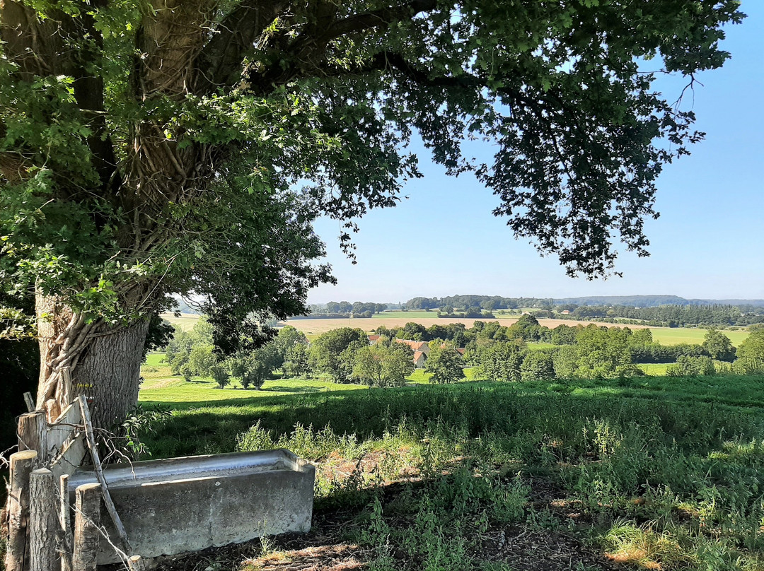Randonnées Au Départ De La Chapelle Montligeon景点图片