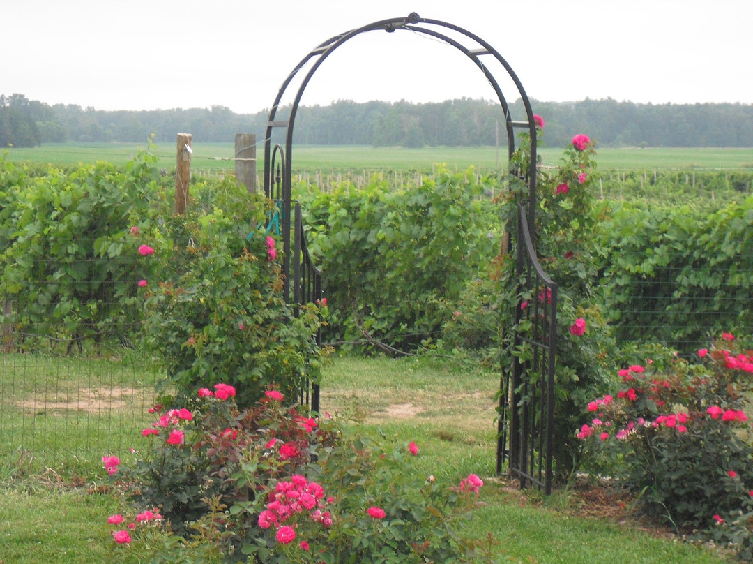 Parallel 44 Winery and Vineyard-Kewaunee必去景点