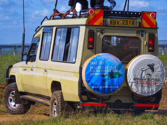 Afrikan Buffalo Wildlife Safaris