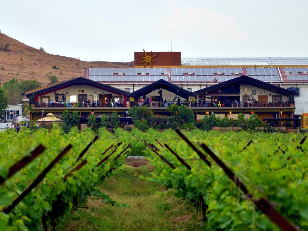 Sula Vineyards景点图片