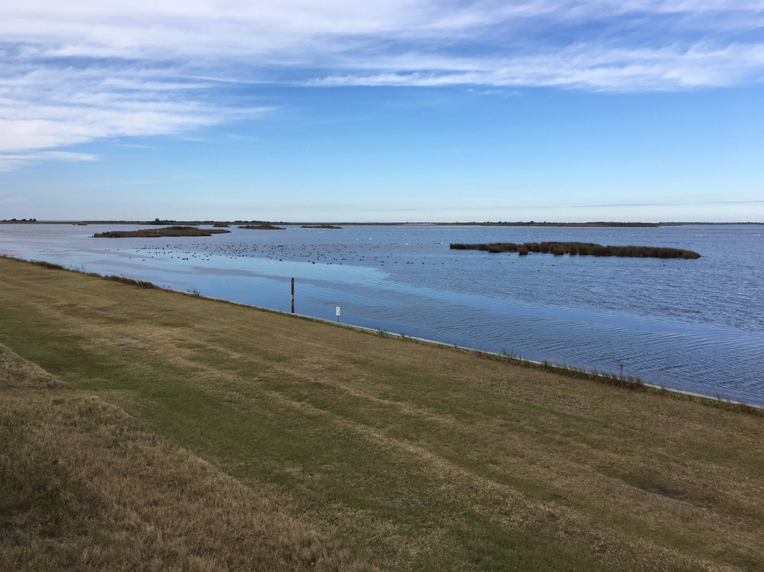 North Pond Trail景点图片