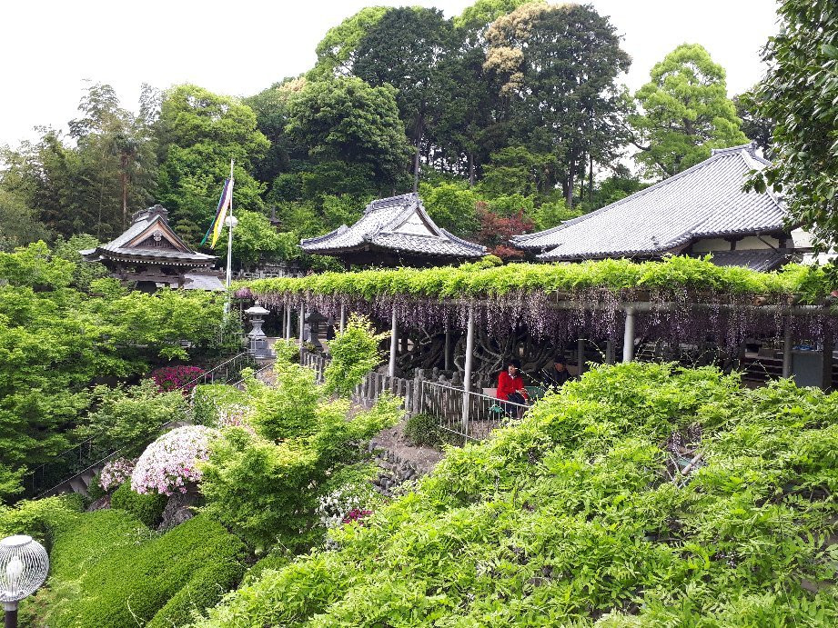 Kisshoji Temple景点图片