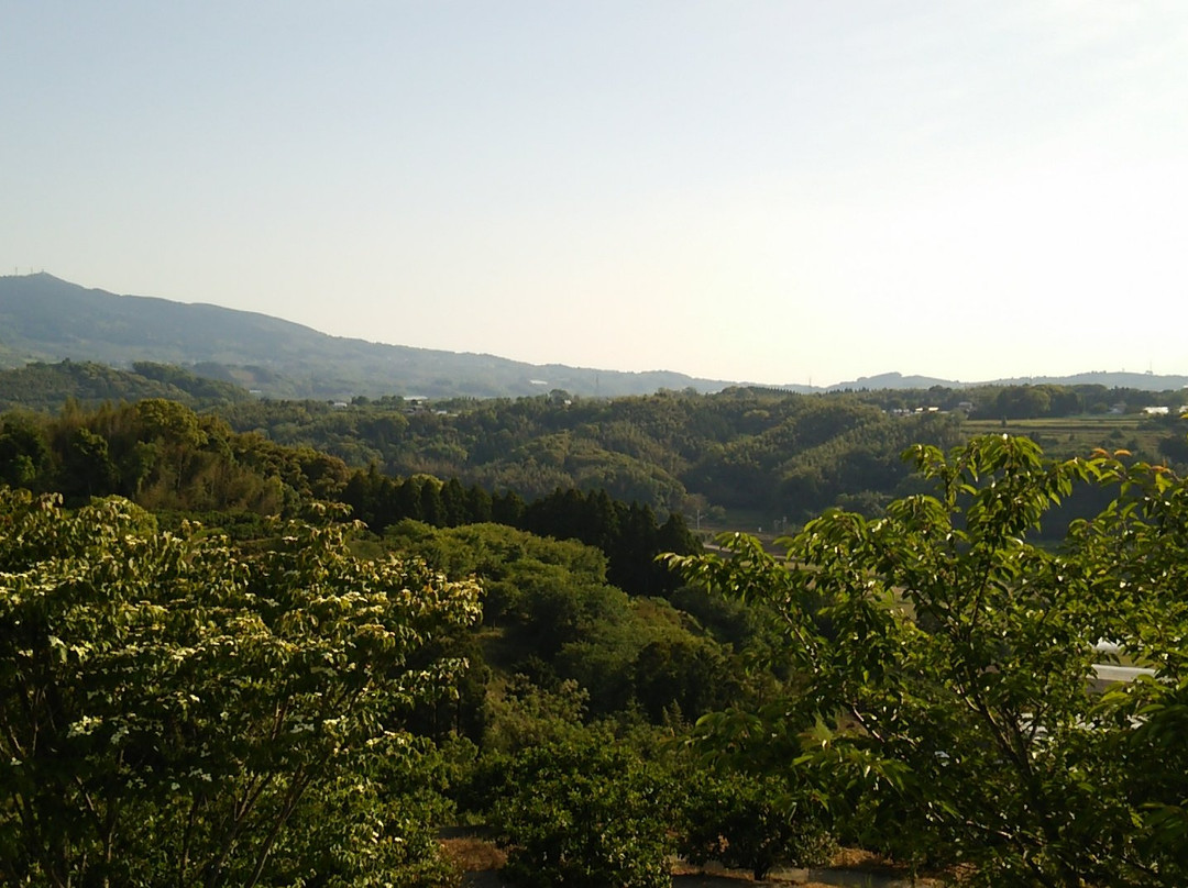 Tabaruzaka Park景点图片