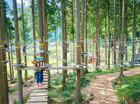 Tree Picnic Adventure Ikeda-池田町必去景点