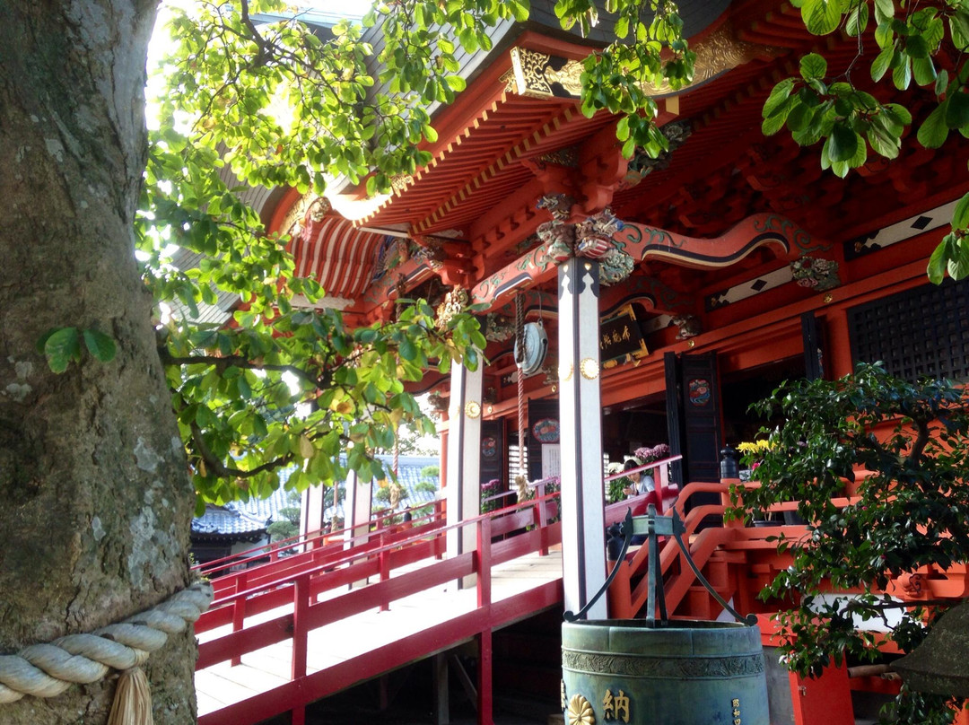 Koryu-zan Tokaiji Temple景点图片