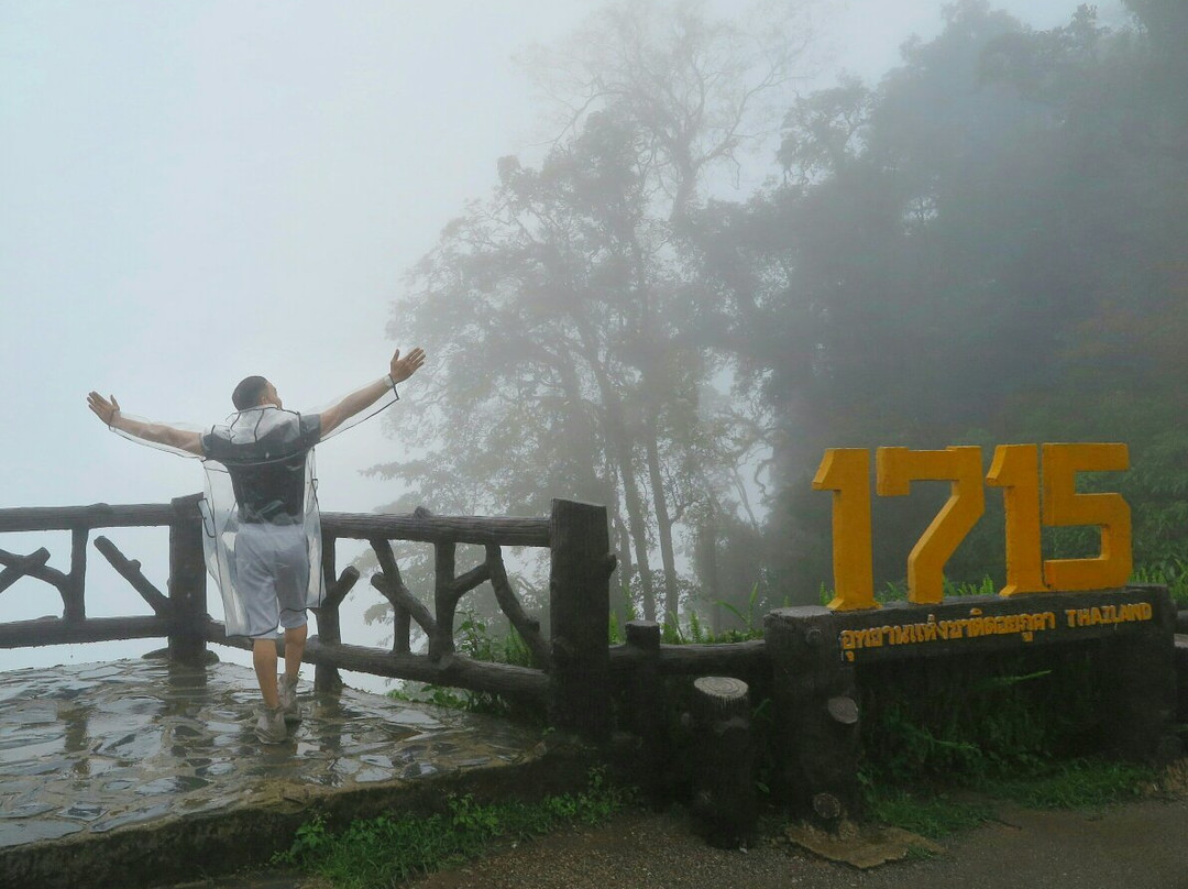 Doi Phu Kha Viewpoint景点图片