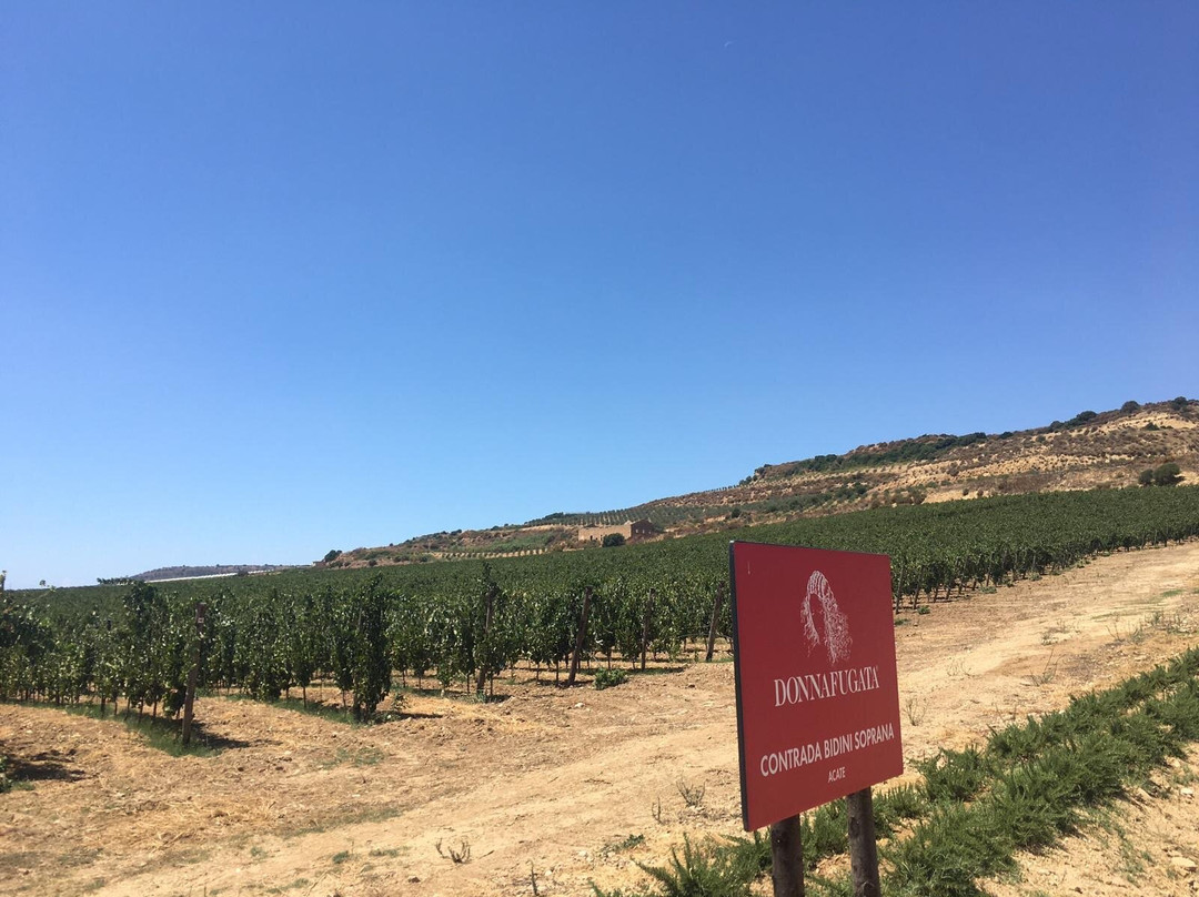 Donnafugata Cantina Acate, Vittoria (rg)-Acate必去景点