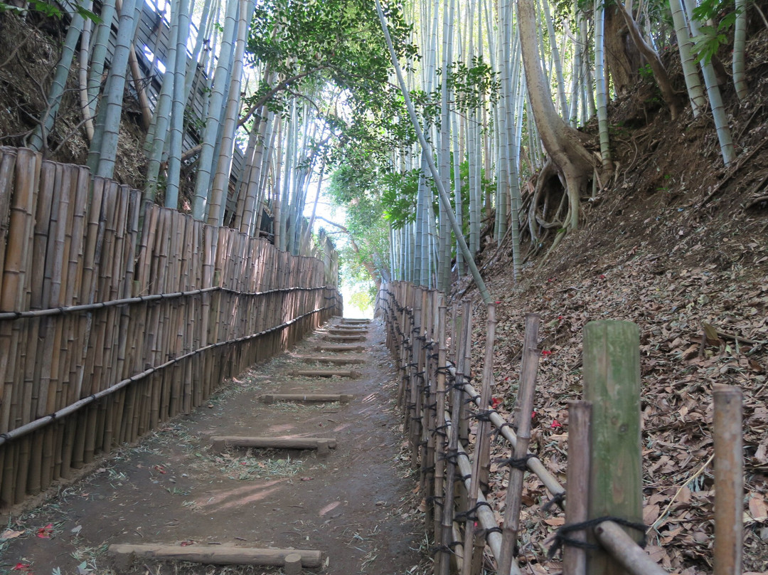 Hiyodori Hill-佐仓市必去景点