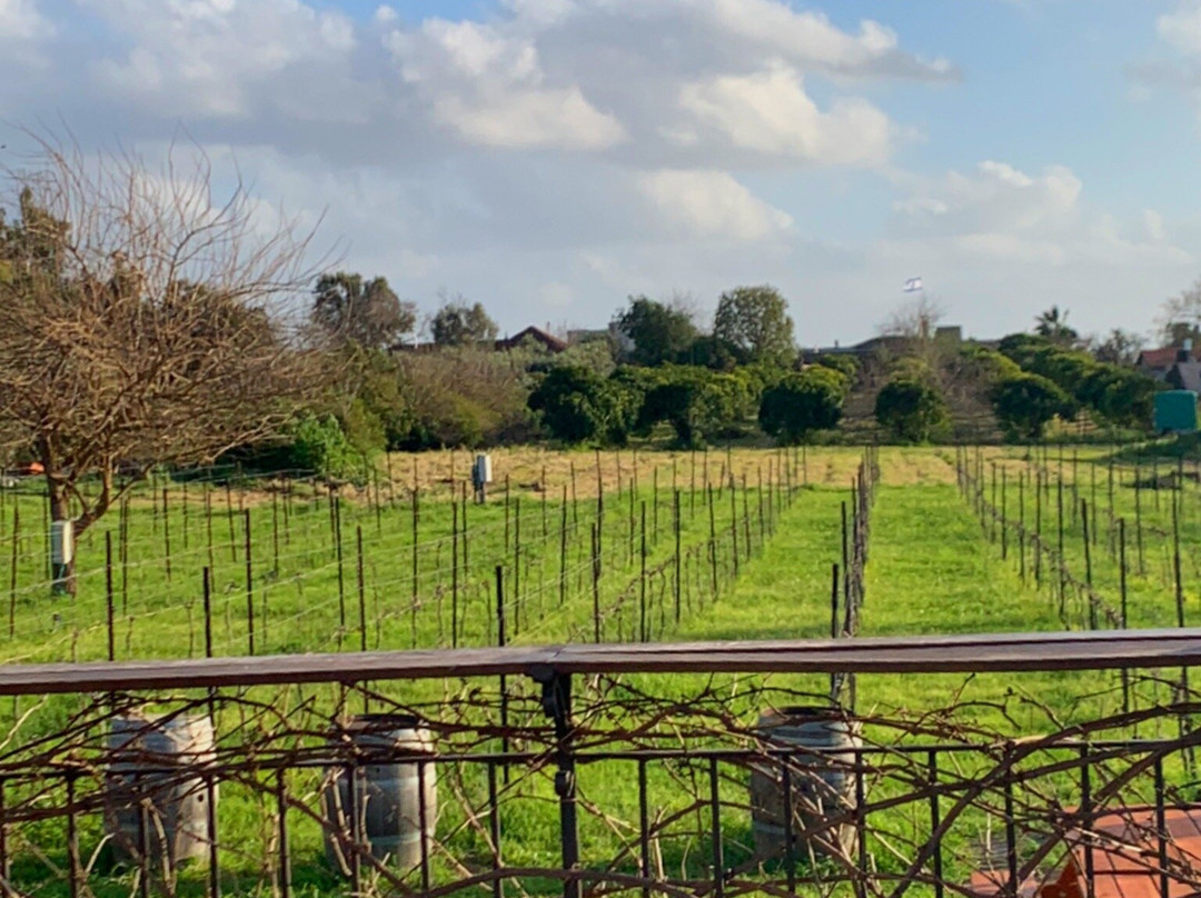 Alexander Winery-Beit Yitzhak-Sha'ar Hefer必去景点