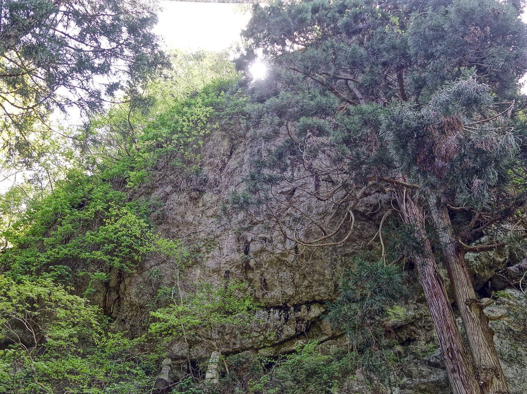 Ninnoji Temple-会津美里町必去景点