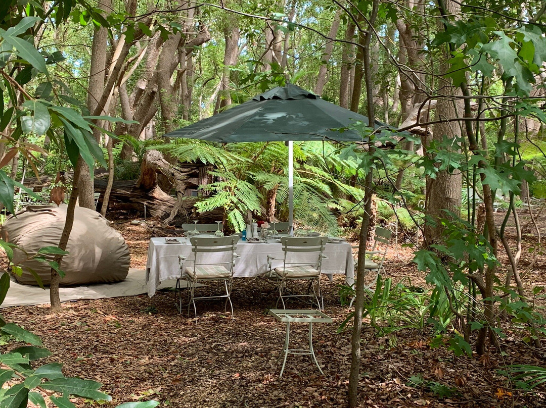 Vergelegen Picnic-西索美塞必去景点