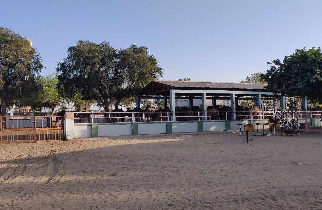 National Research Centre on Camel-碧卡内必去景点