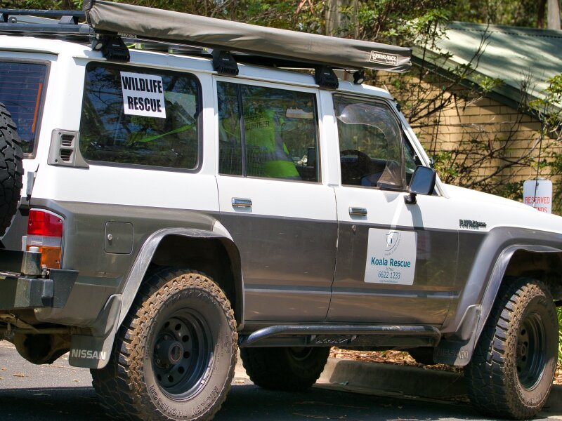 Friends of the Koala-利斯莫尔必去景点