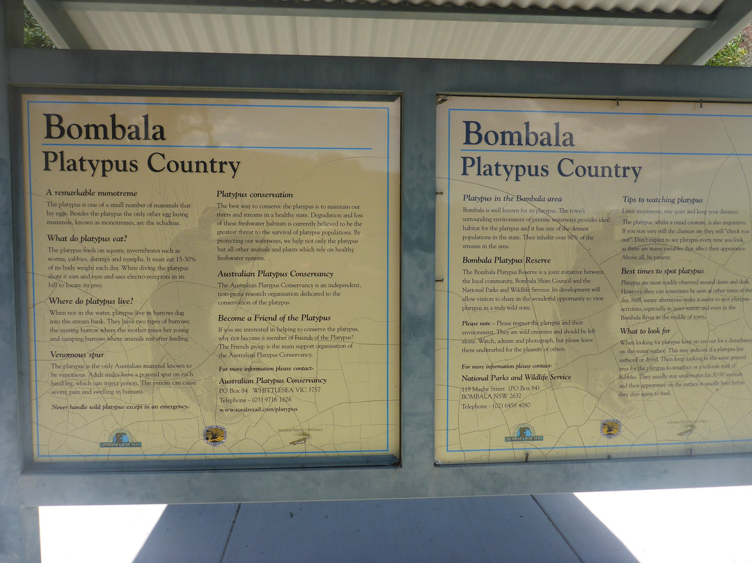 Bombala Platypus Reserve景点图片