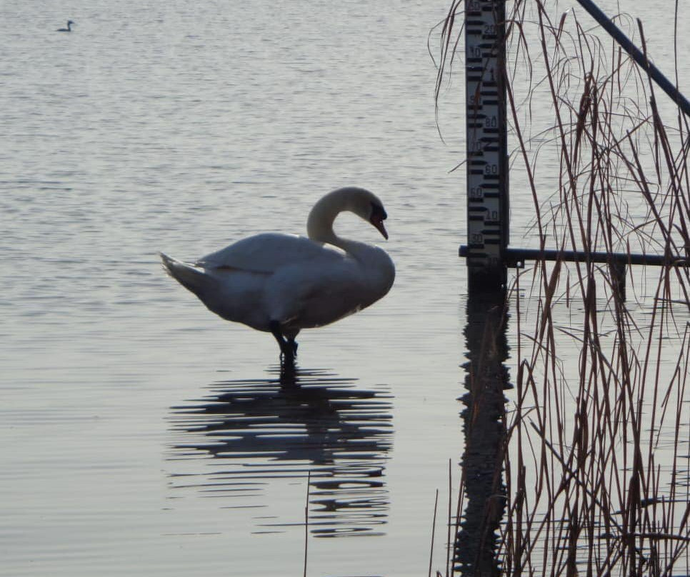 Lake Varese Bicycle Trail景点图片