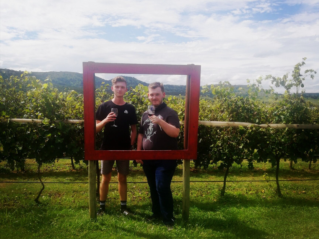 Cathedral Peak Wine Estate-温特顿必去景点