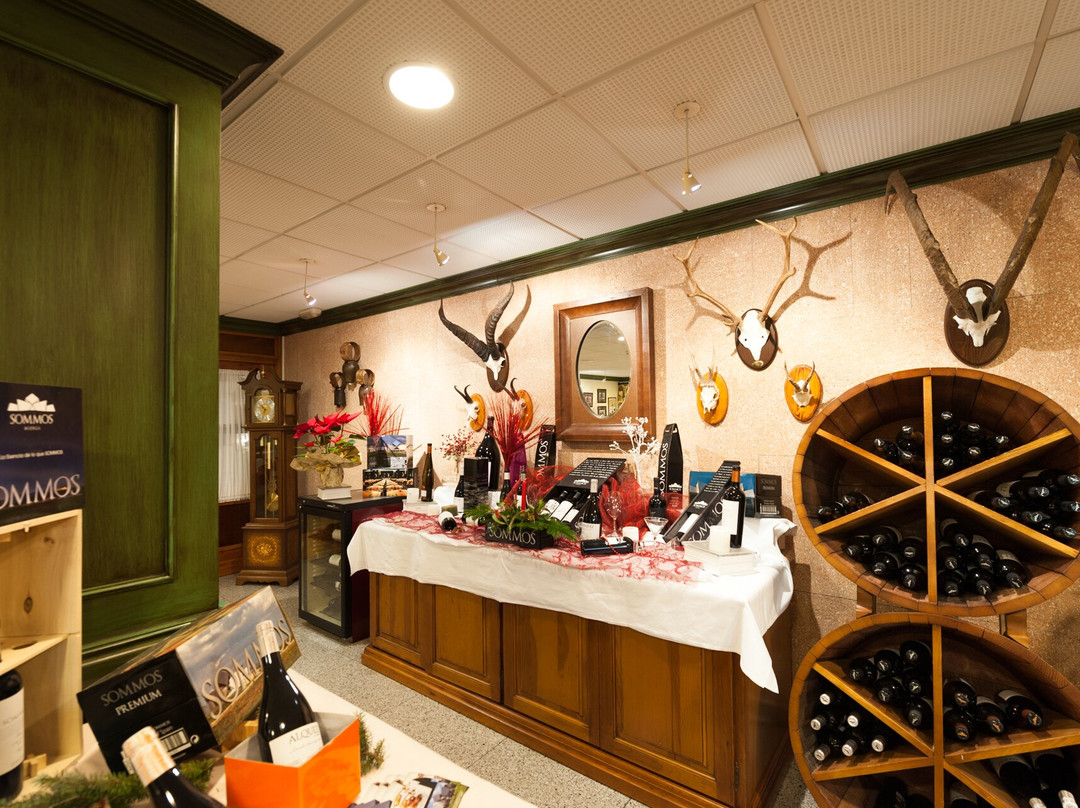 SOMMOS Hotel Benasque Spa主图