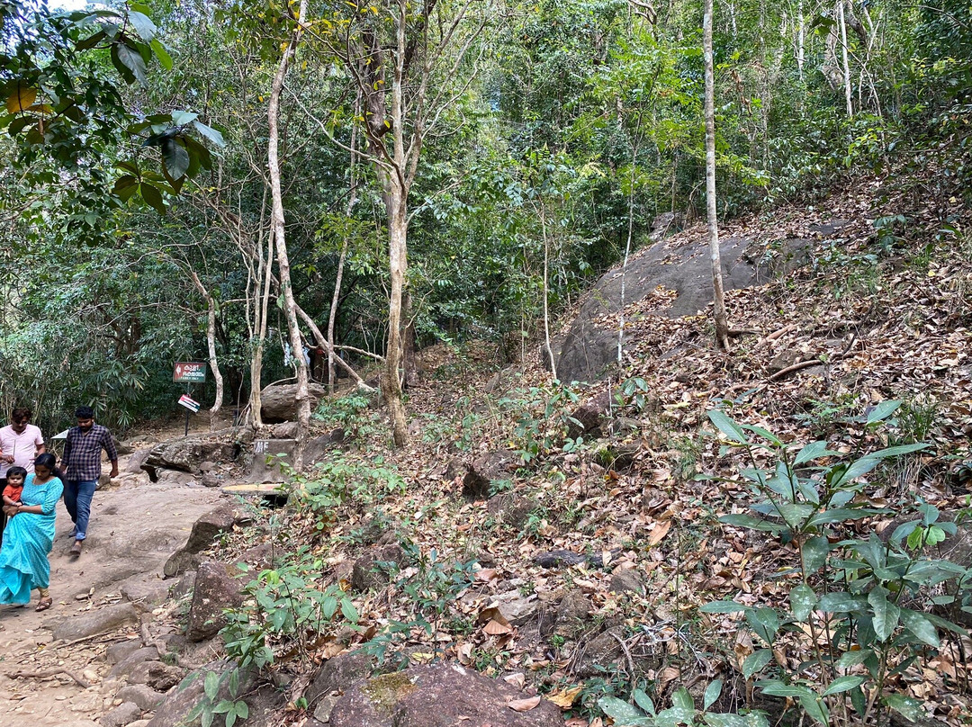 Meenmutty Waterfalls景点图片