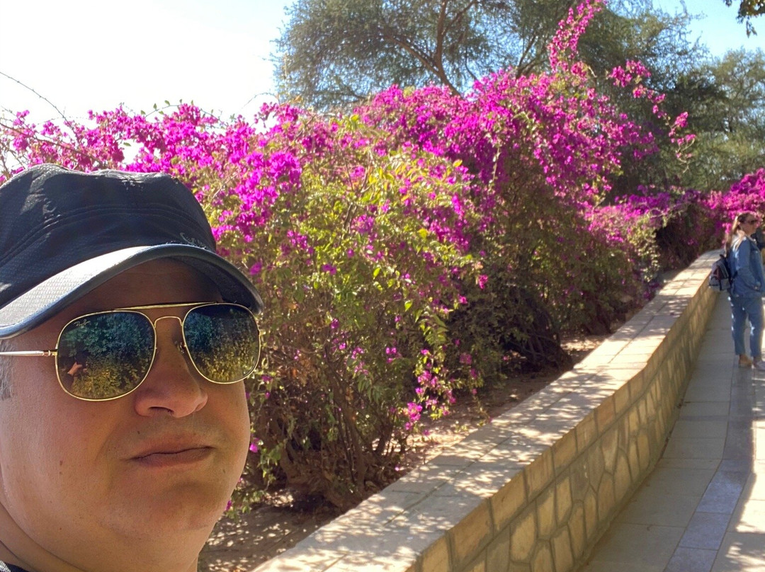 Kitchner's Island-亚斯文必去景点