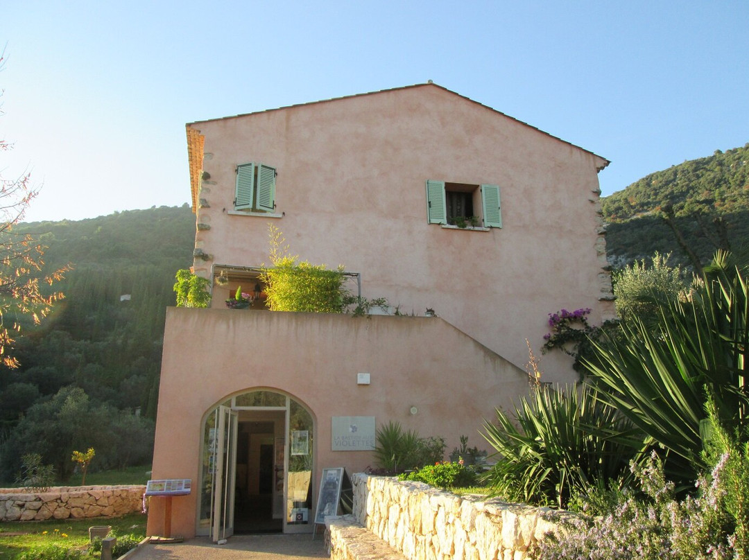 La Bastide aux Violettes景点图片