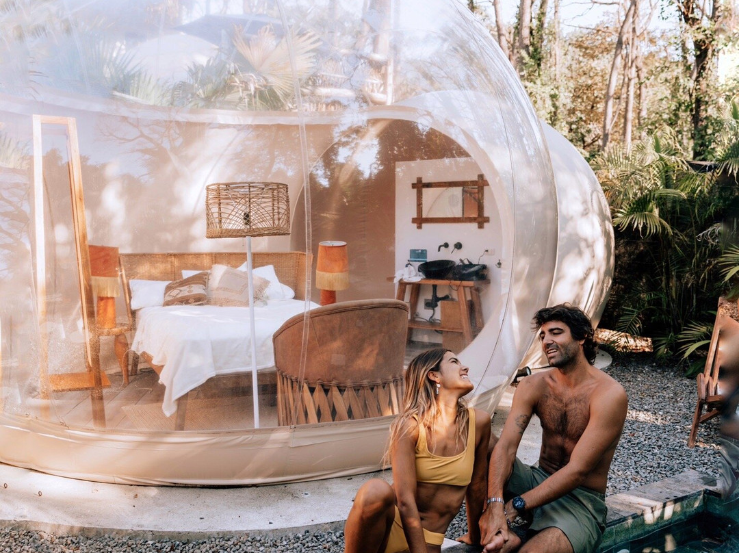 Satori Bubbles主图