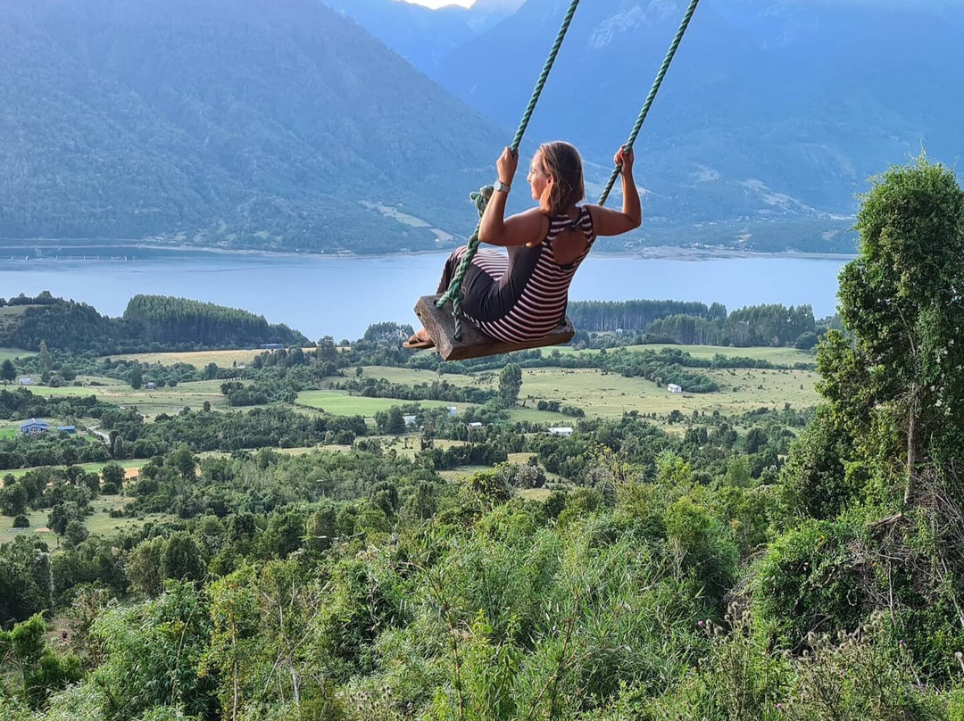 Coihue de Los Columpios