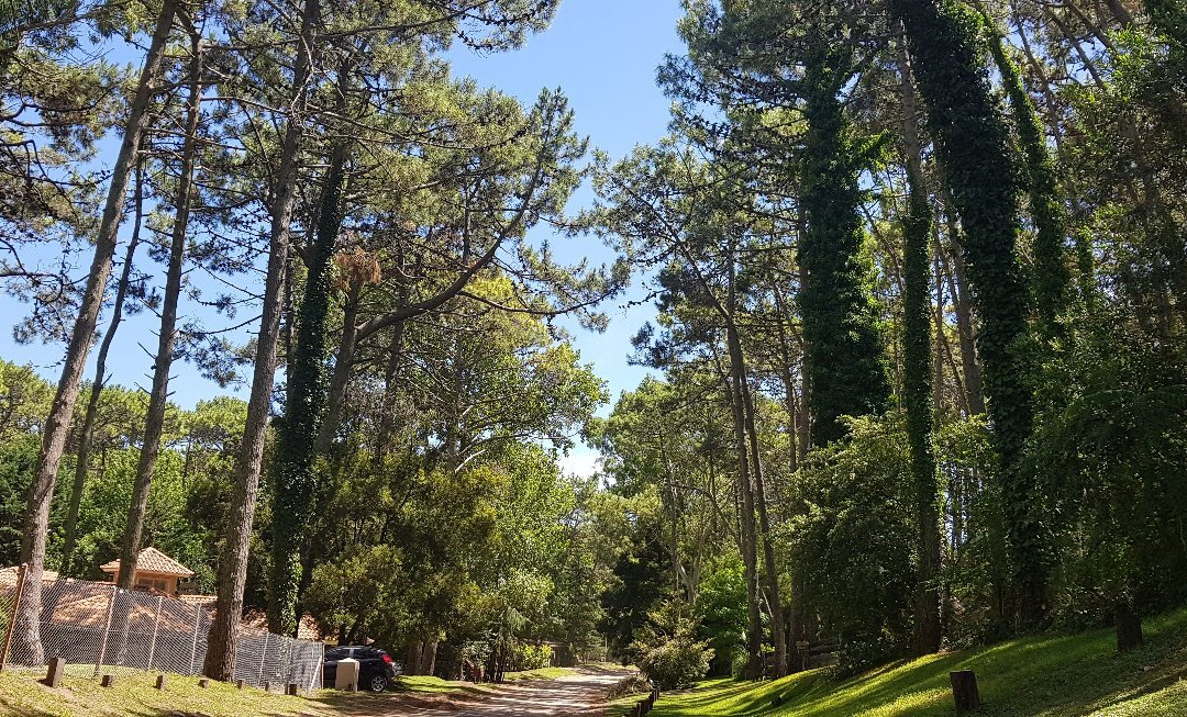 Reserva Natural-Carilo必去景点